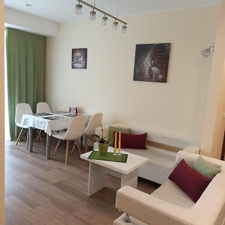 Nelli Apartamentai Друскінінкай Екстер'єр фото